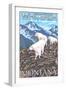 Whitefish, Montana - Mountain Goat Family-Lantern Press-Framed Art Print