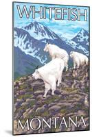 Whitefish, Montana - Mountain Goat Family-Lantern Press-Mounted Art Print