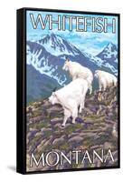 Whitefish, Montana - Mountain Goat Family-Lantern Press-Framed Stretched Canvas