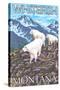 Whitefish, Montana - Mountain Goat Family-Lantern Press-Stretched Canvas