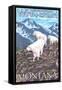 Whitefish, Montana - Mountain Goat Family-Lantern Press-Framed Stretched Canvas