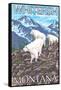 Whitefish, Montana - Mountain Goat Family-Lantern Press-Framed Stretched Canvas