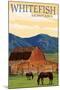 Whitefish, Montana - Red Barn and Horses-Lantern Press-Mounted Art Print