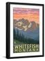 Whitefish, Montana - Spring Flowers-Lantern Press-Framed Art Print