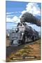 Whitefish, Montana - Steam Engine 4014-Lantern Press-Mounted Art Print