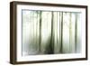 Whiteforest-Viviane Fedieu Daniel-Framed Photographic Print