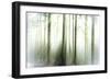 Whiteforest-Viviane Fedieu Daniel-Framed Photographic Print