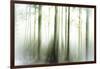 Whiteforest-Viviane Fedieu Daniel-Framed Photographic Print