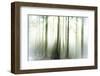 Whiteforest-Viviane Fedieu Daniel-Framed Photographic Print