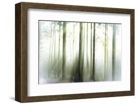 Whiteforest-Viviane Fedieu Daniel-Framed Photographic Print