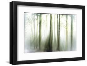 Whiteforest-Viviane Fedieu Daniel-Framed Photographic Print