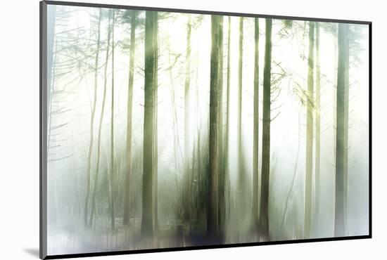 Whiteforest-Viviane Fedieu Daniel-Mounted Photographic Print