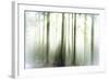 Whiteforest-Viviane Fedieu Daniel-Framed Photographic Print