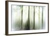 Whiteforest-Viviane Fedieu Daniel-Framed Photographic Print