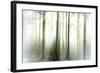 Whiteforest-Viviane Fedieu Daniel-Framed Photographic Print