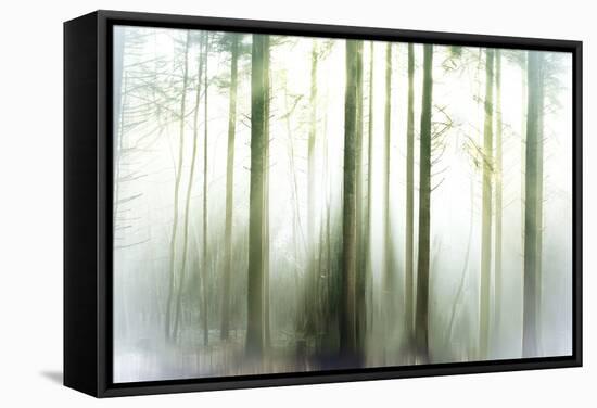 Whiteforest-Viviane Fedieu Daniel-Framed Stretched Canvas