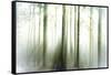 Whiteforest-Viviane Fedieu Daniel-Framed Stretched Canvas