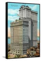 Whitehall Building, Battery Park-null-Framed Stretched Canvas