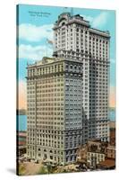 Whitehall Building, Battery Park-null-Stretched Canvas