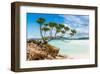 Whitehaven Australia-null-Framed Art Print