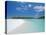 Whitehaven Beach on the East Coast, Whitsunday Island, Queensland, Australia-Robert Francis-Stretched Canvas