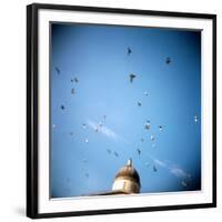 Whitehold-Craig Roberts-Framed Photographic Print