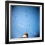 Whitehold-Craig Roberts-Framed Photographic Print