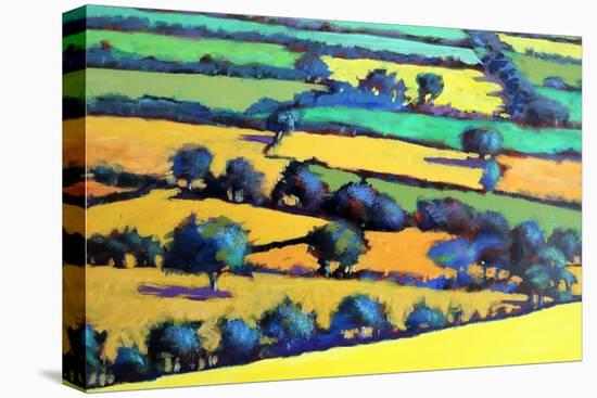 Whiteleaved oak close up 4-Paul Powis-Stretched Canvas