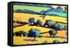 Whiteleaved oak close up 5-Paul Powis-Framed Stretched Canvas