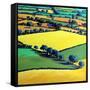 Whiteleaved oak-Paul Powis-Framed Stretched Canvas