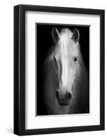 Whitemare-null-Framed Art Print