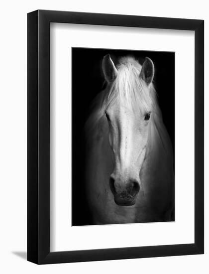 Whitemare-null-Framed Art Print