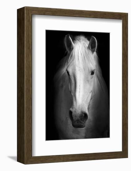 Whitemare-null-Framed Art Print