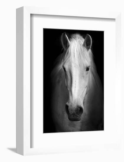 Whitemare-null-Framed Art Print