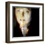Whiter Shade of Pale-Gideon Ansell-Framed Premium Photographic Print