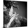 Whitescape-Craig Roberts-Mounted Photographic Print