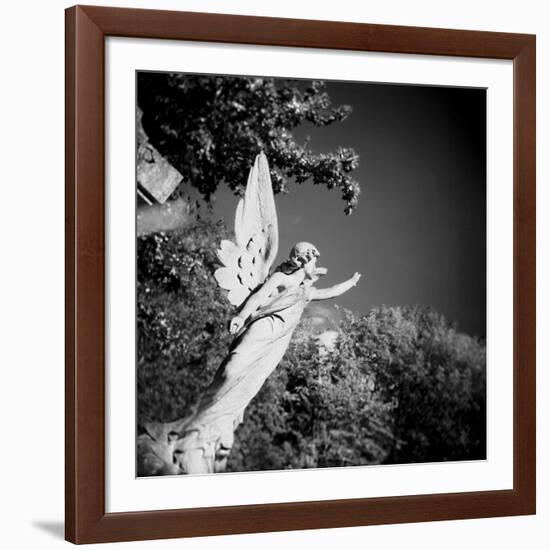 Whitescape-Craig Roberts-Framed Photographic Print