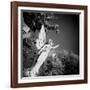 Whitescape-Craig Roberts-Framed Photographic Print