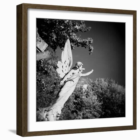 Whitescape-Craig Roberts-Framed Photographic Print