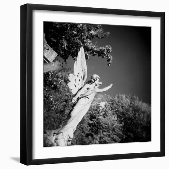 Whitescape-Craig Roberts-Framed Photographic Print