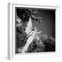 Whitescape-Craig Roberts-Framed Photographic Print