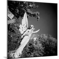 Whitescape-Craig Roberts-Mounted Photographic Print