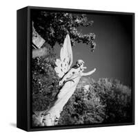 Whitescape-Craig Roberts-Framed Stretched Canvas