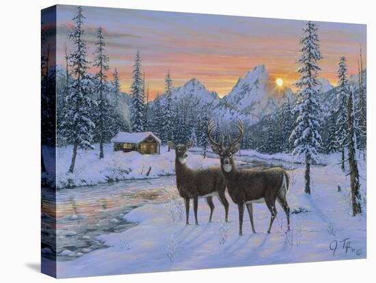 Whitetail and Cabin-Jeff Tift-Stretched Canvas