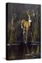Whitetail Buck-Wilhelm Goebel-Stretched Canvas