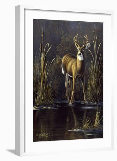 Whitetail Buck-Wilhelm Goebel-Framed Giclee Print