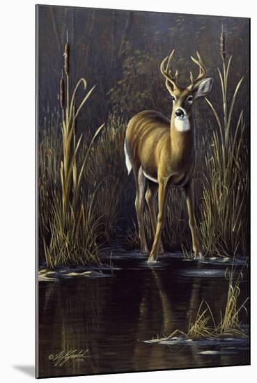 Whitetail Buck-Wilhelm Goebel-Mounted Giclee Print