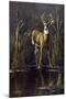 Whitetail Buck-Wilhelm Goebel-Mounted Giclee Print