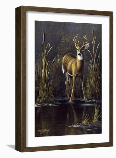 Whitetail Buck-Wilhelm Goebel-Framed Giclee Print