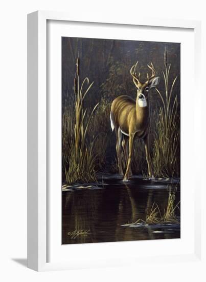 Whitetail Buck-Wilhelm Goebel-Framed Giclee Print